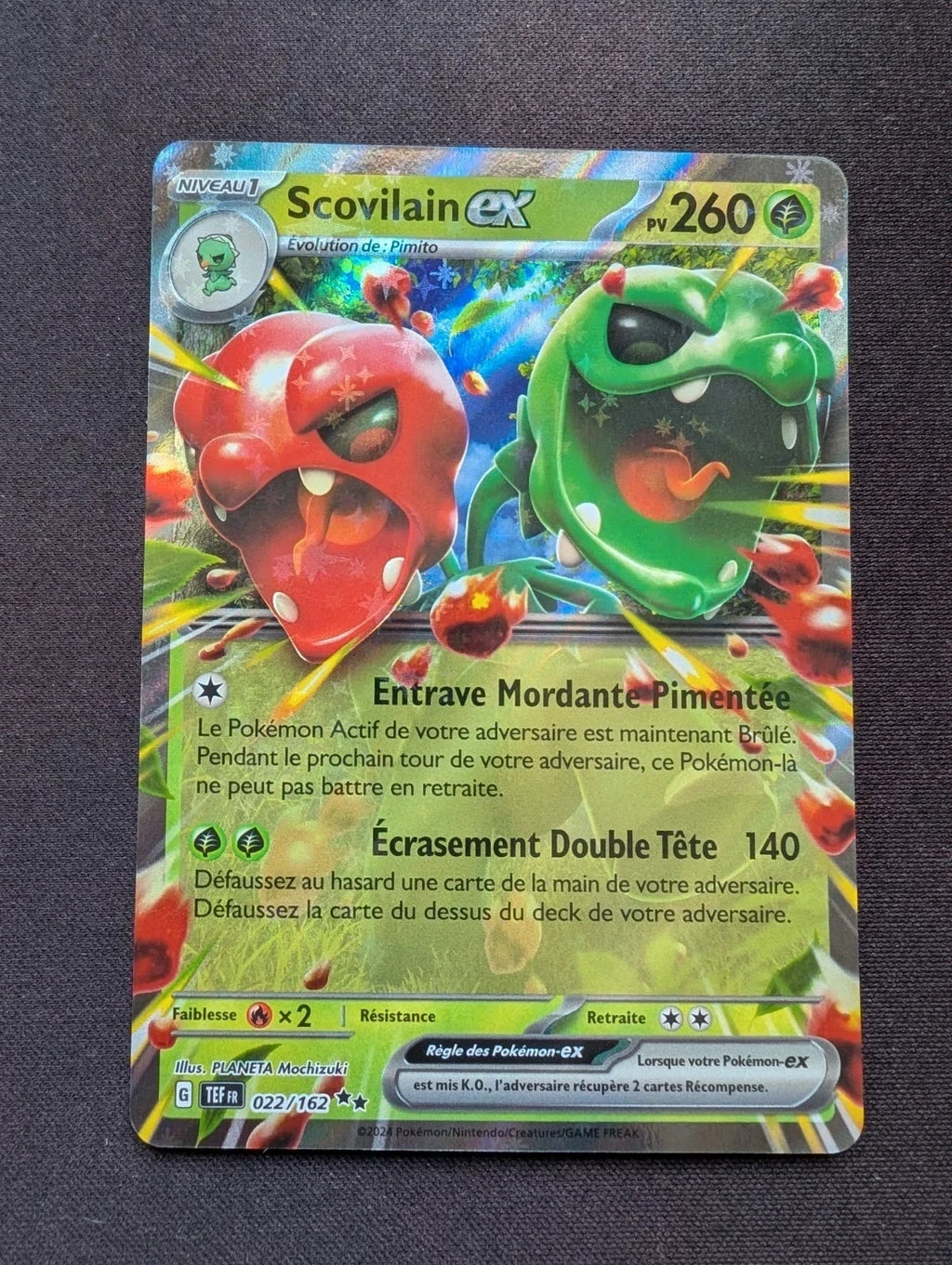 Scovilain ex 022/162 TEF #CL-209