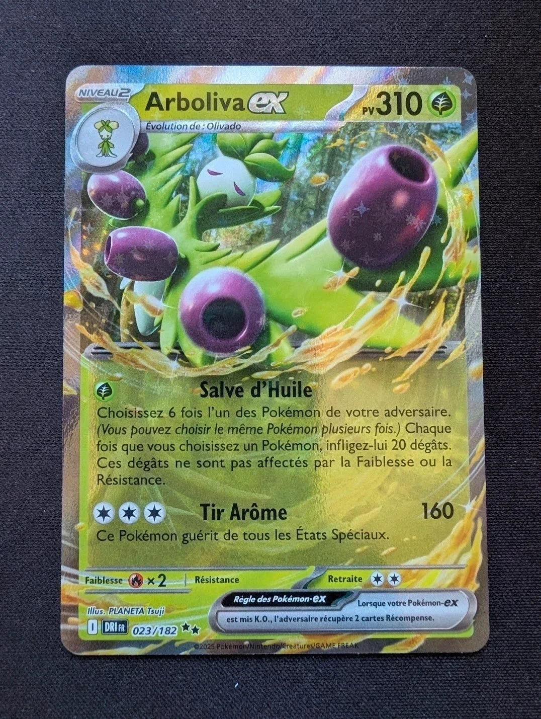 Arboliva ex 023/182 DRI #CL-252