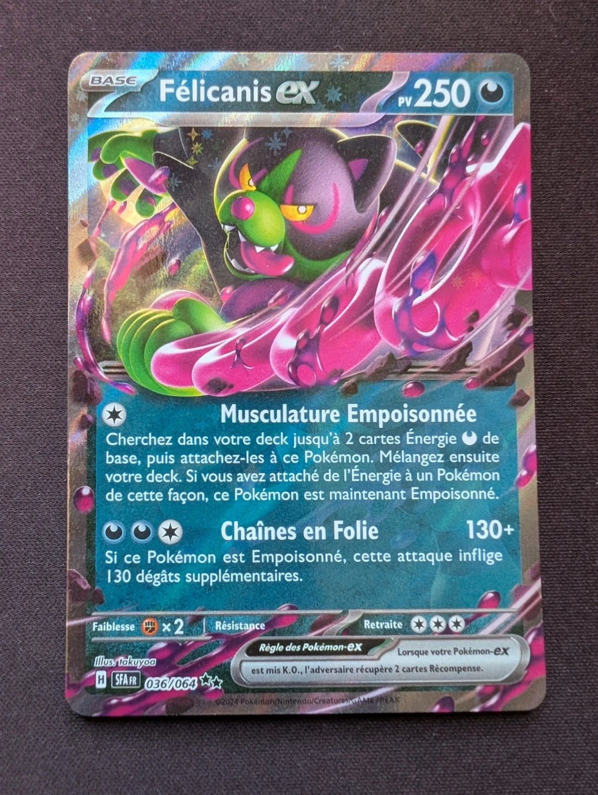 Félicanis ex 036/064 SFA #CL-93
