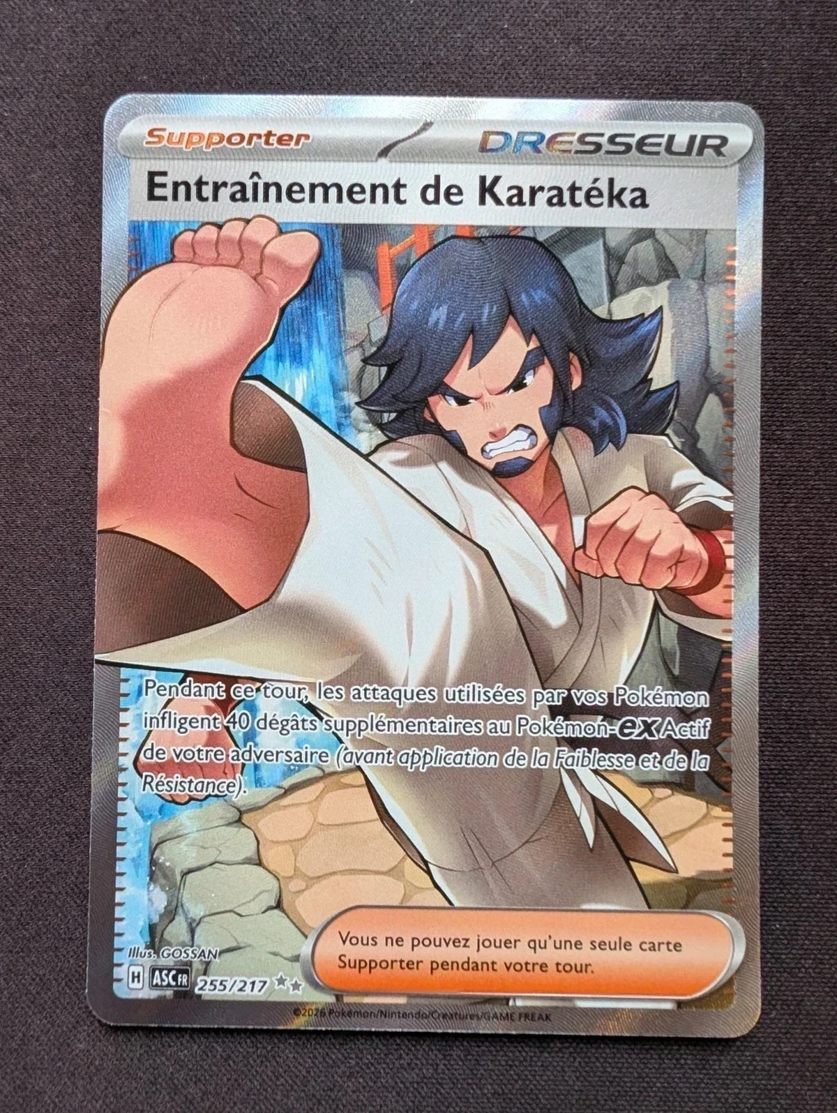 Entraînement de Karatéka dresseur 255/217 ASC #CL-32-2