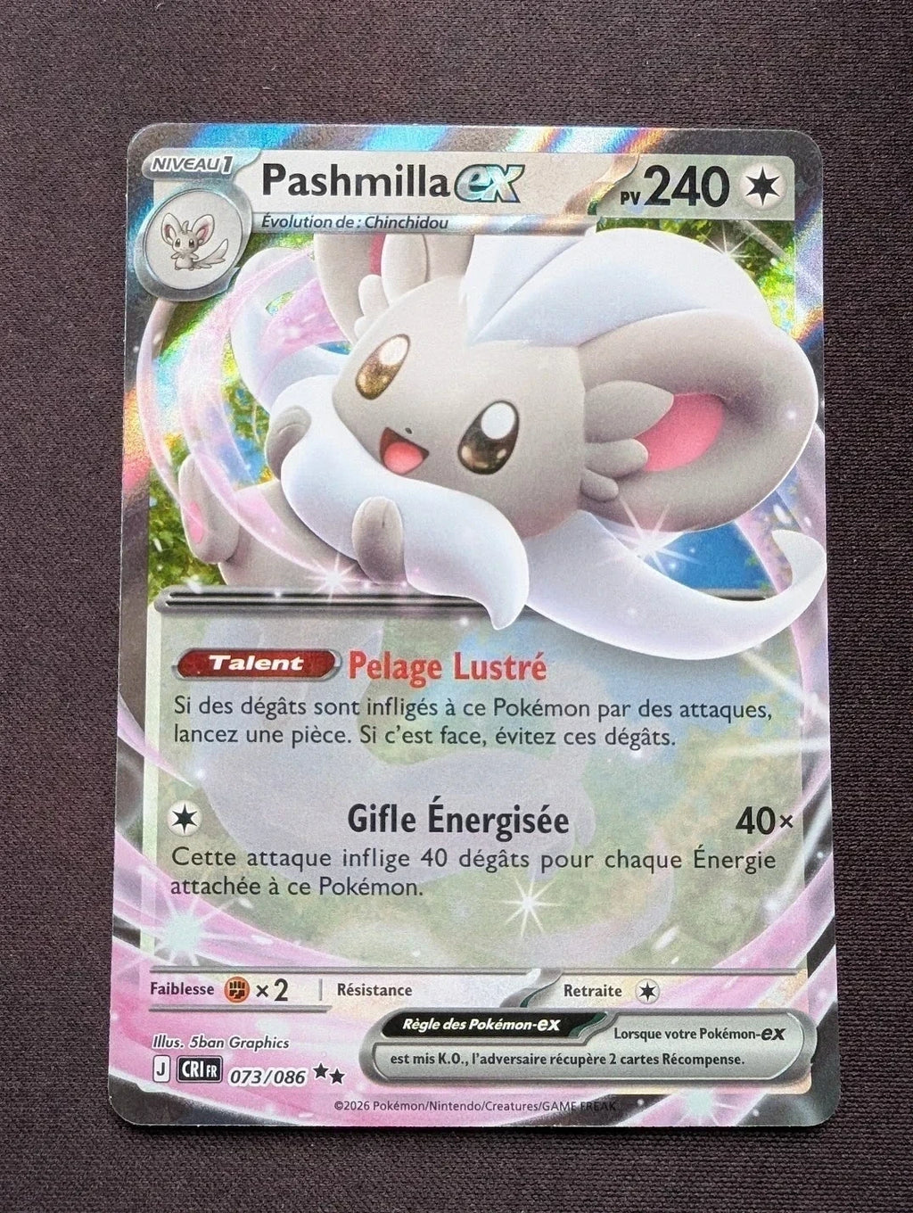 Pashmilla ex 073/086 CRI #CL-B43