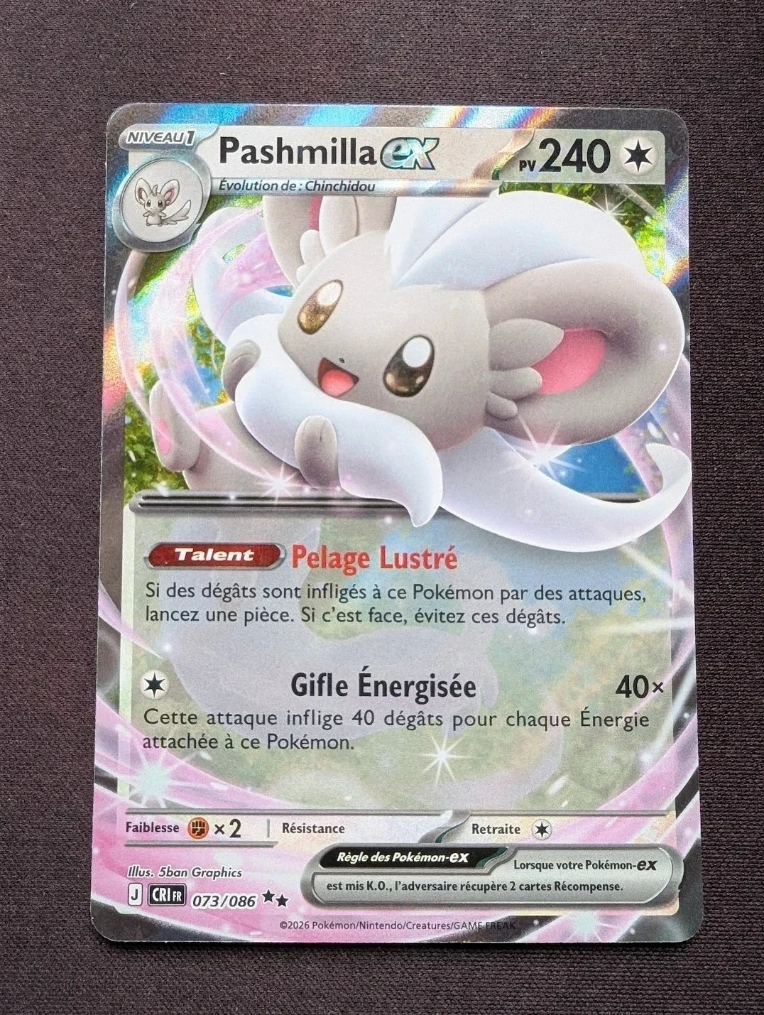 Pashmilla ex 073/086 CRI #CL-B43