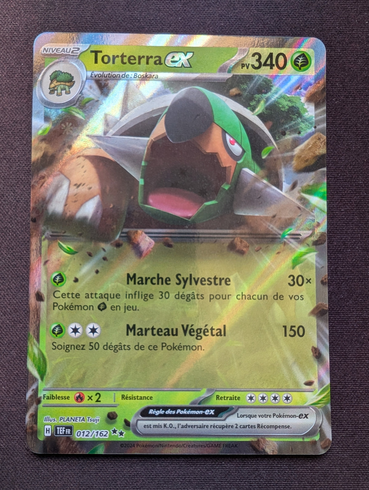 Torterra ex 012/162 TEF #CL-B14
