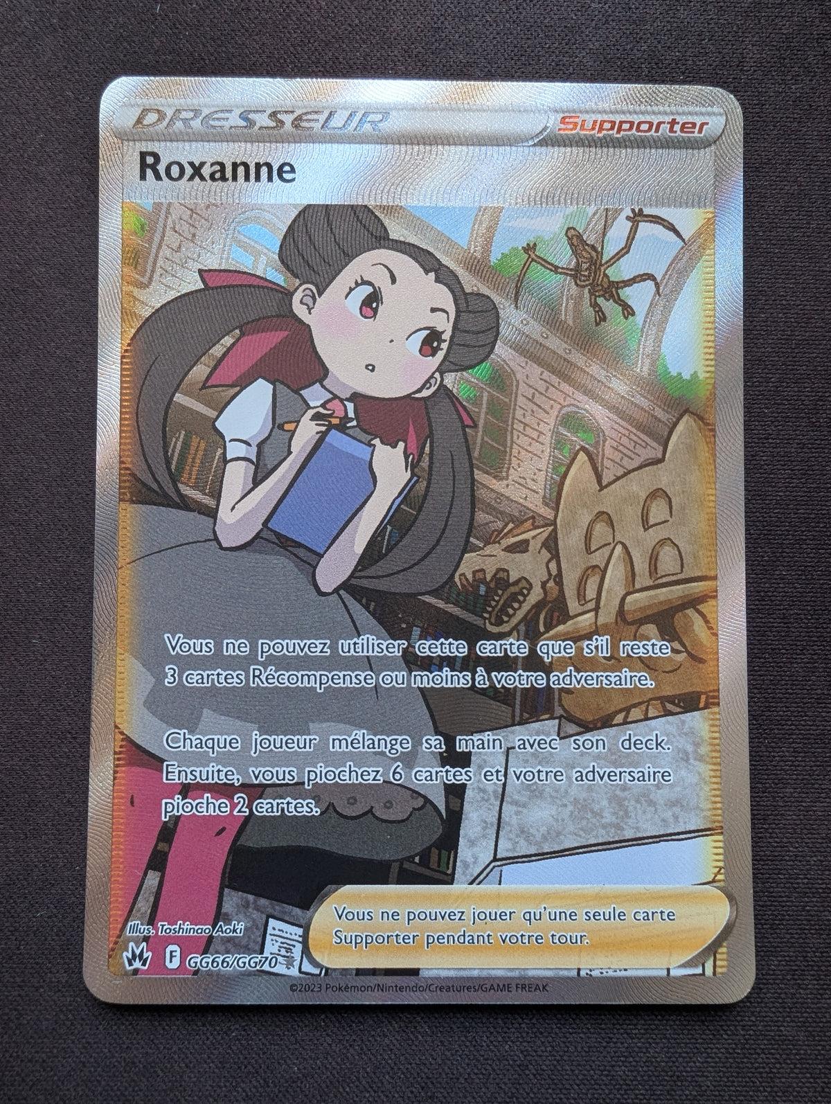 Roxanne dresseur GG66/GG70 #CL-119