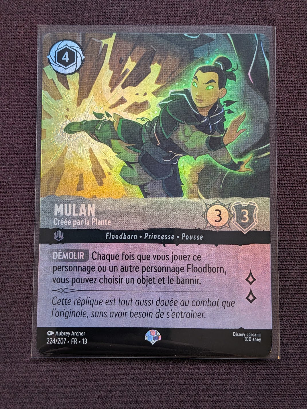 Mulan - Créée par la Plante 224/207 Chap. 13 #LRC-4-1