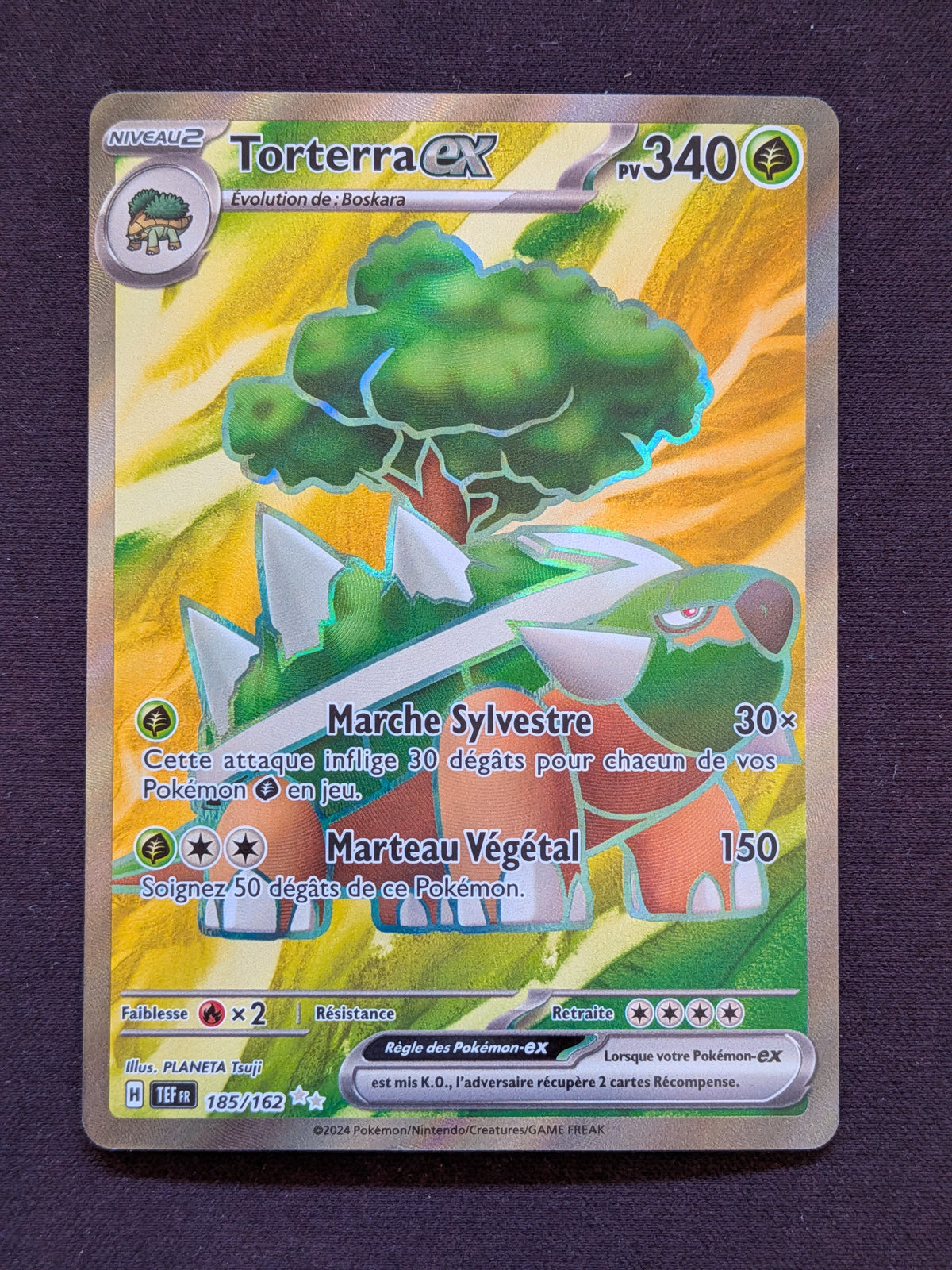Torterra ex 185/162 TEF #CL-A92