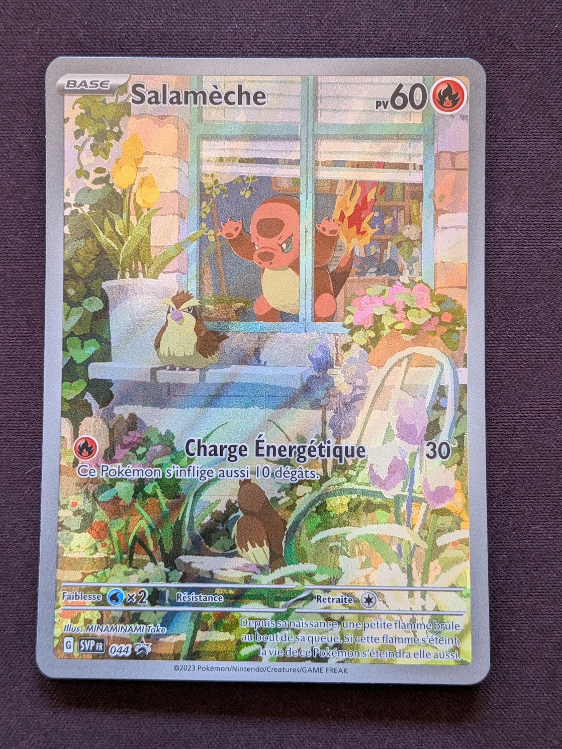 Salamèche 044 Promo SVP #CL-248